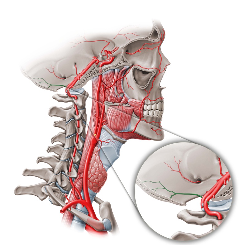 illustration